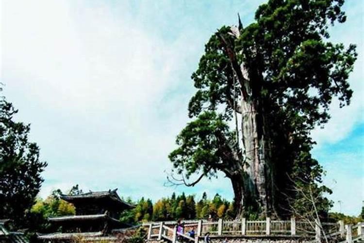 童子为什么不能进寺庙