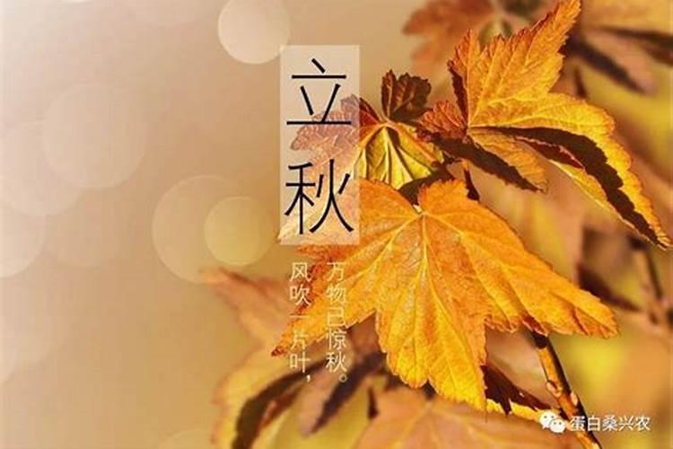立秋节气的故事与说法知多少
