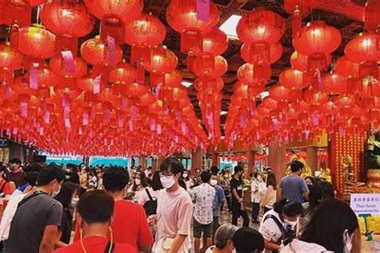 2025最旺的生肖 属兔的人 运势