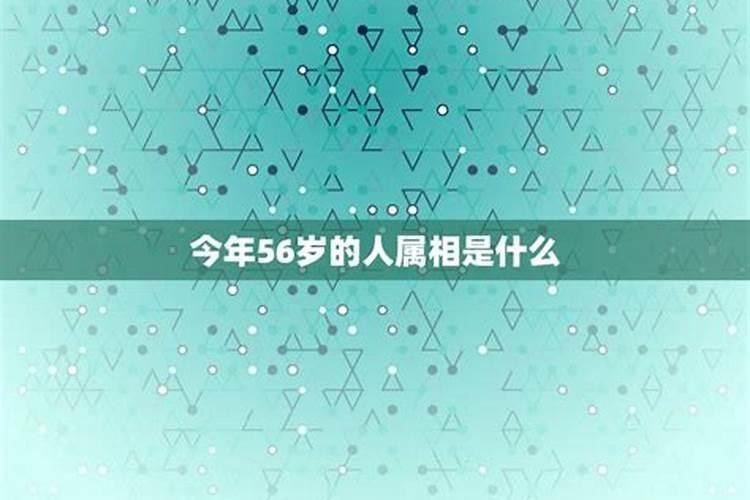 70年属狗56岁有坎坷有没有
