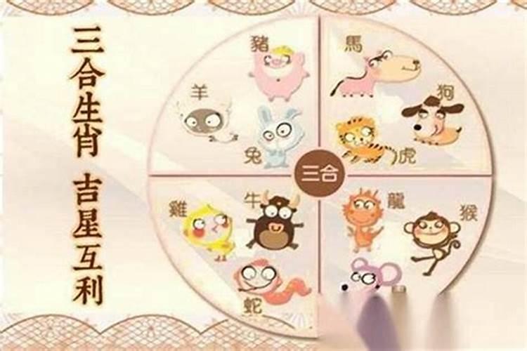 八字合婚:属虎和属羊的相配吗 八字合不合财？