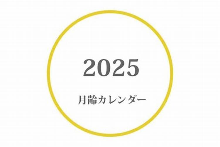 2025年1月15号属什么