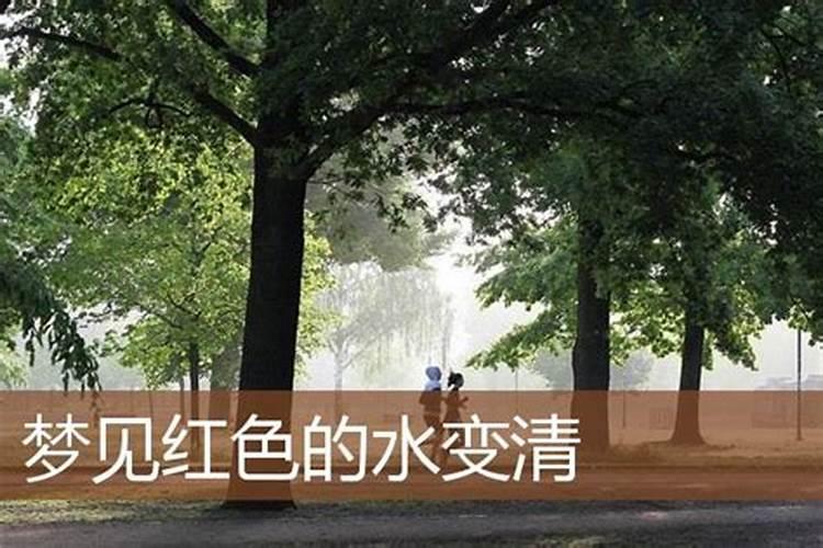梦见一大盆红色的水的预兆
