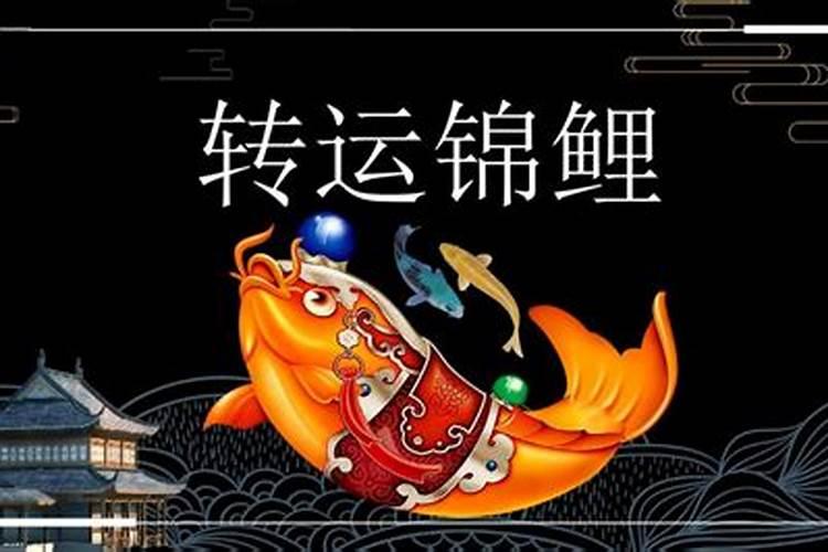 属羊和什么属相最合得来
