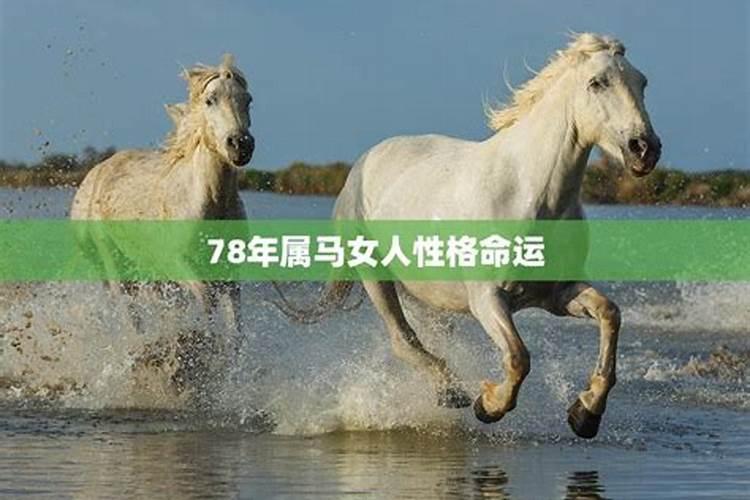 1978年属马的是什么命2024年运程