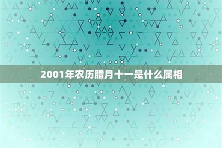 1970年农历十二月十一是什么星座