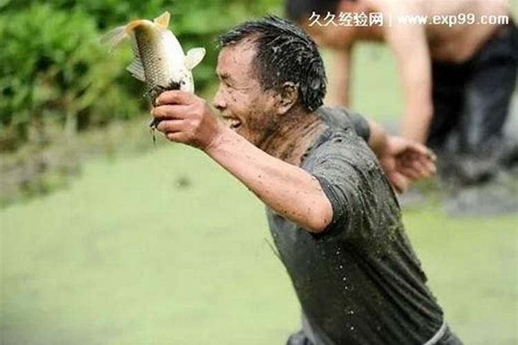 男人梦见鱼是什么征兆