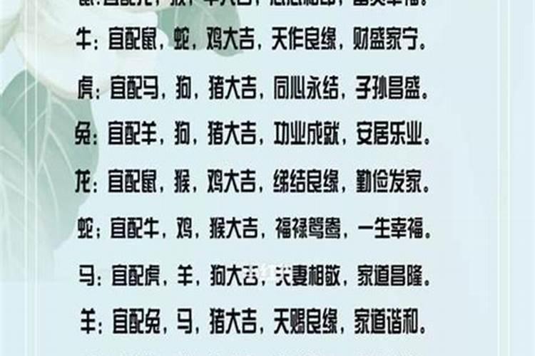 属相婚配:男属龙和女属兔相配吗