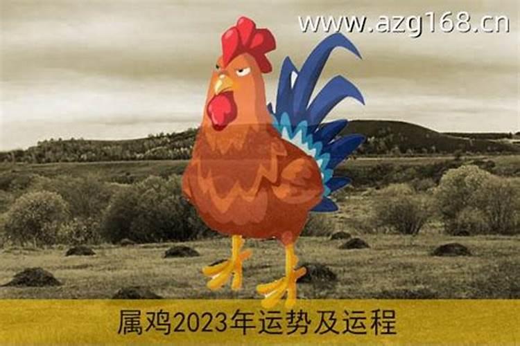 85年的牛终身运势,1985年生人一生运程