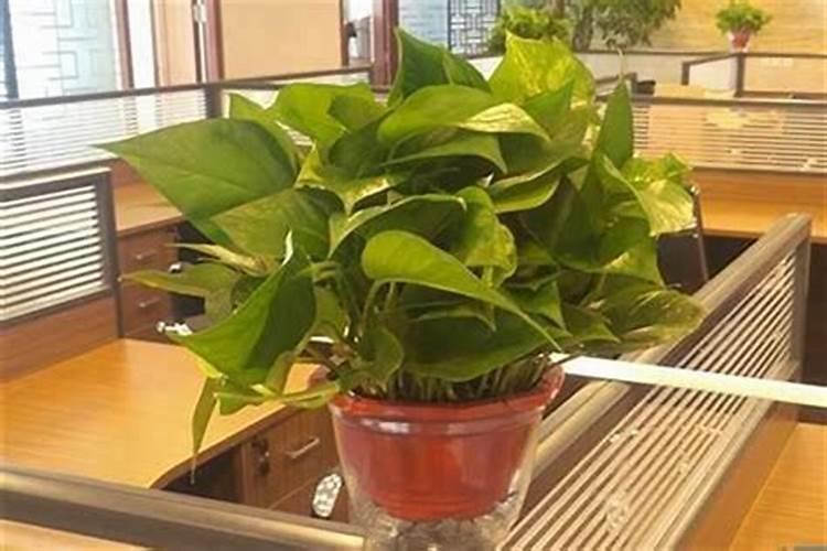 老公生意不顺怎么安慰