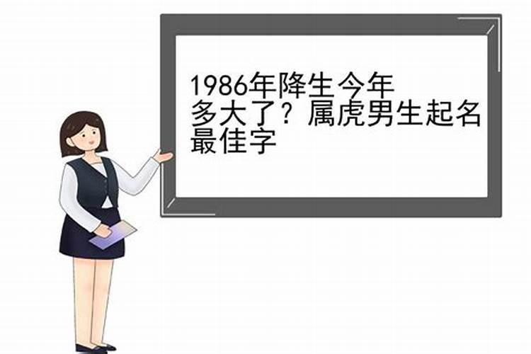 86年属虎人2024年运程及每月运势