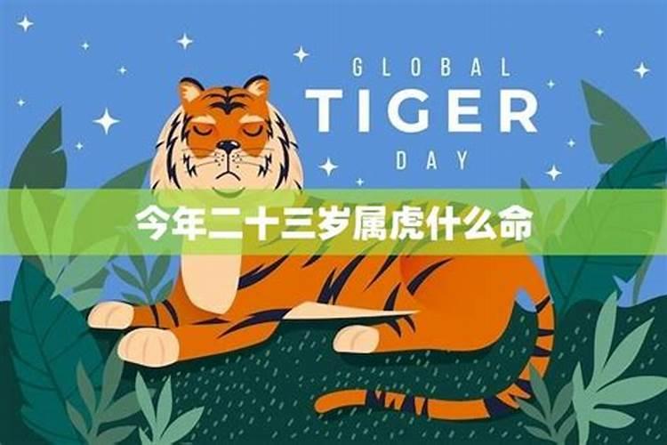 生肖虎2025年运势属虎2025年运势及运程