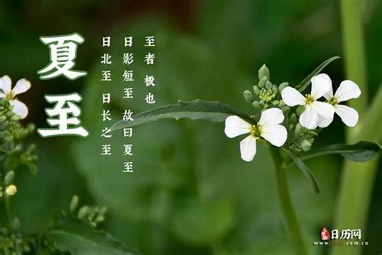 端午节在夏至前还是后