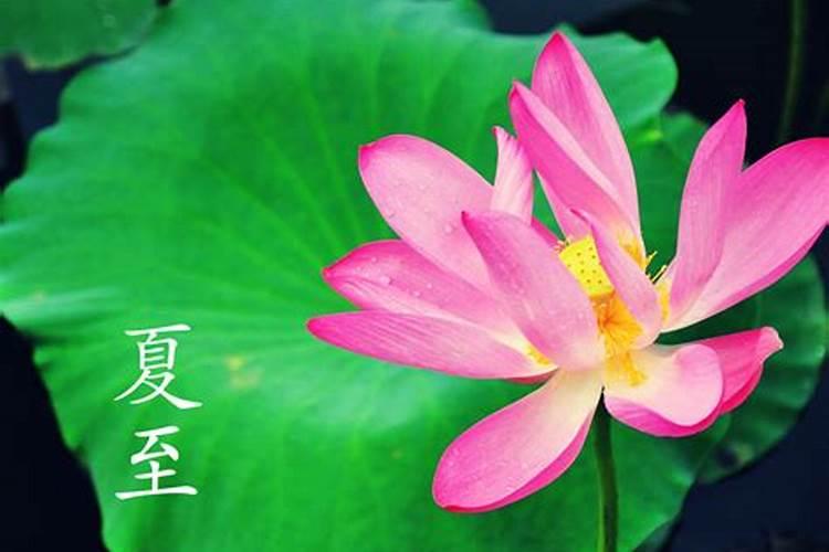 节日顺序表