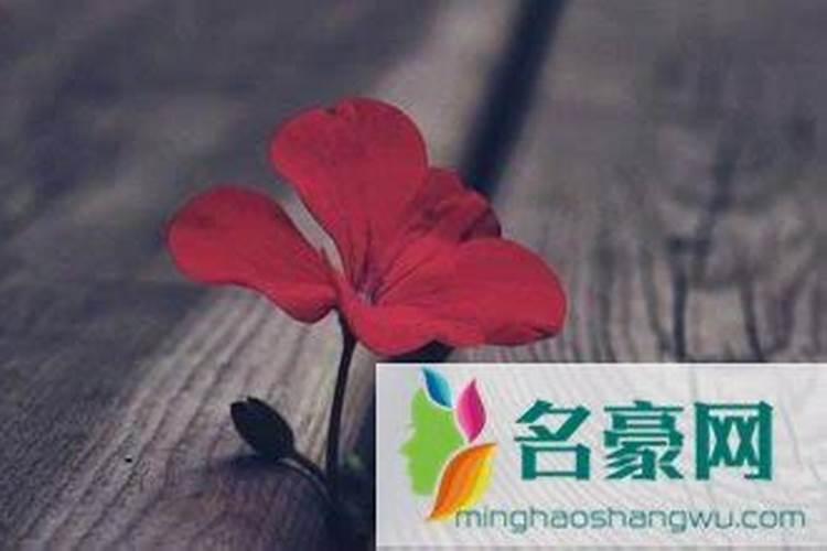 在这离婚冷静期如何把老公挽回过来