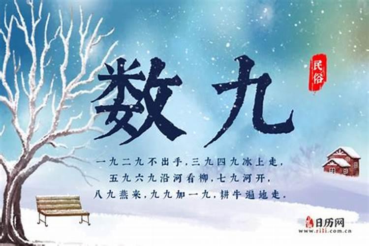 2025年哪些属相犯太岁最严重