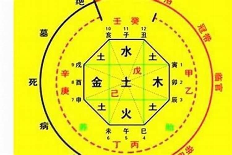 八字是什么 八字指的是什么啊？