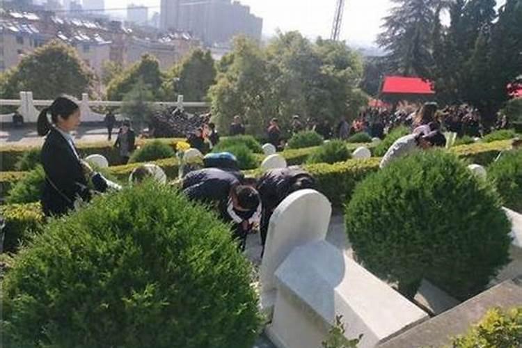 2025年庙会来临,愿你收获满满好运与喜乐,有哪些美好的话语可以送上祝福...