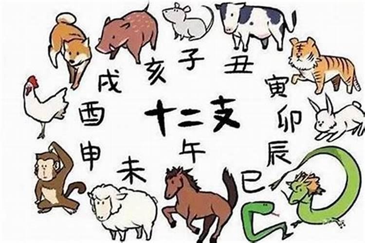 拼命三郎打一生肖？