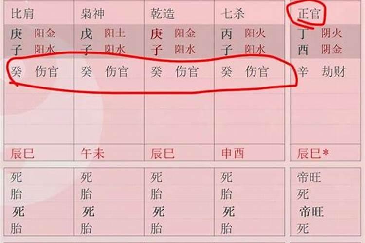 大运伤官是什么意思