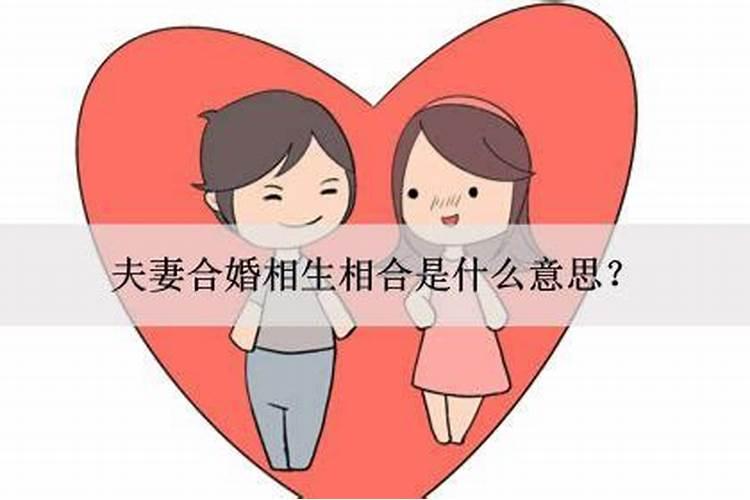算命大师说的,不知道是什么意思？