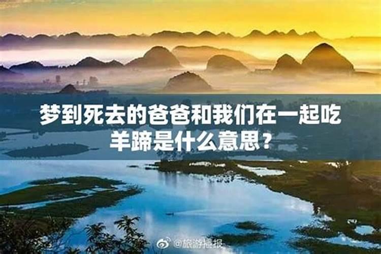 梦见我和死去的父亲说话我夹了很多肉给他吃