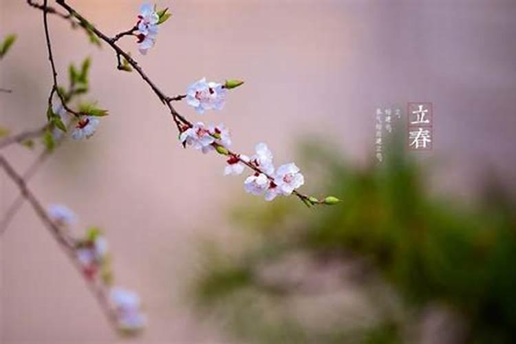没有生辰八字能不能算命