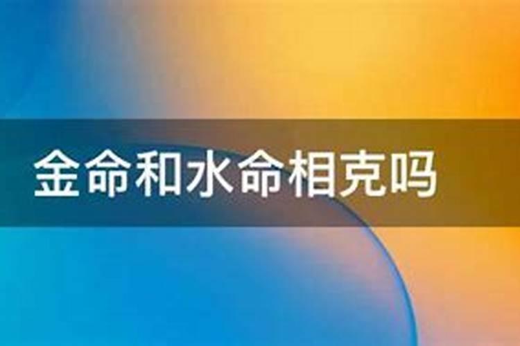 辛亥日柱在2025年的卦象