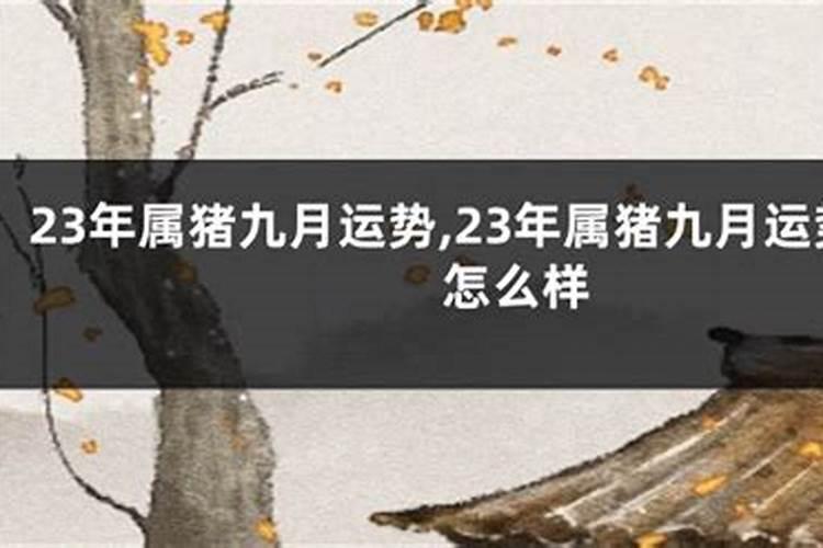 请问<<道教散居正一派道士管理试行办法>>哪里可以找到？急用!百度...