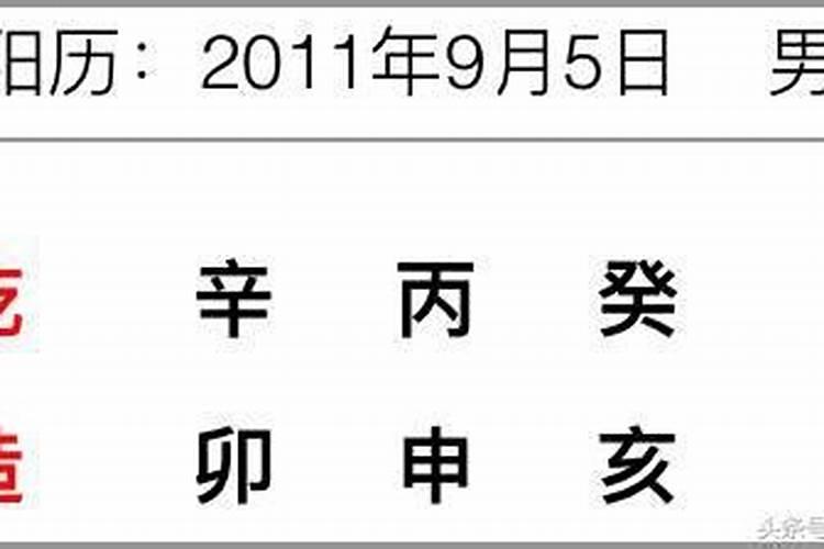 八字排盘怎么看呀？