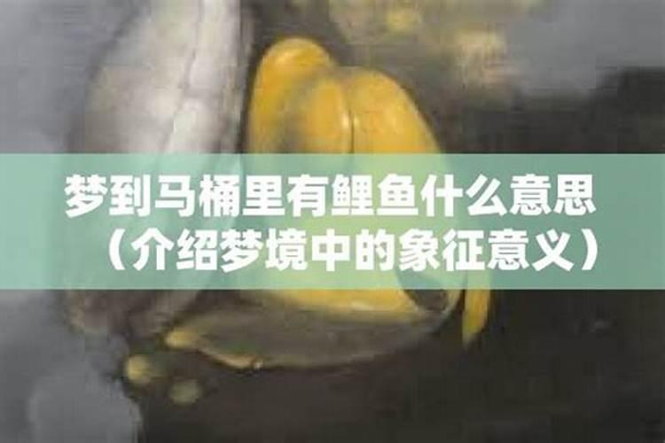本命年结婚有什么说法