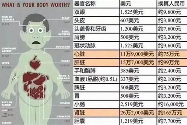 女人梦见蛇的七大预兆？