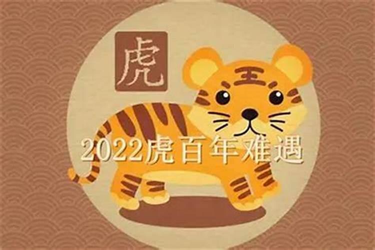 虎年冬至出生的男孩