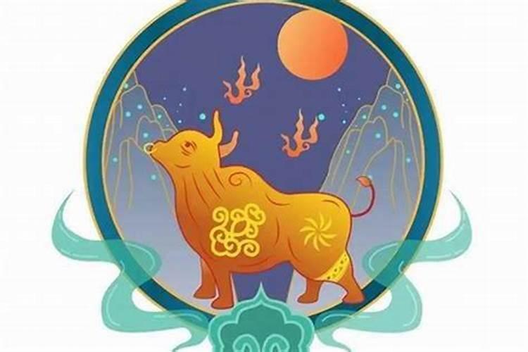 属牛12月出生的人命运,为何不要腊月牛？