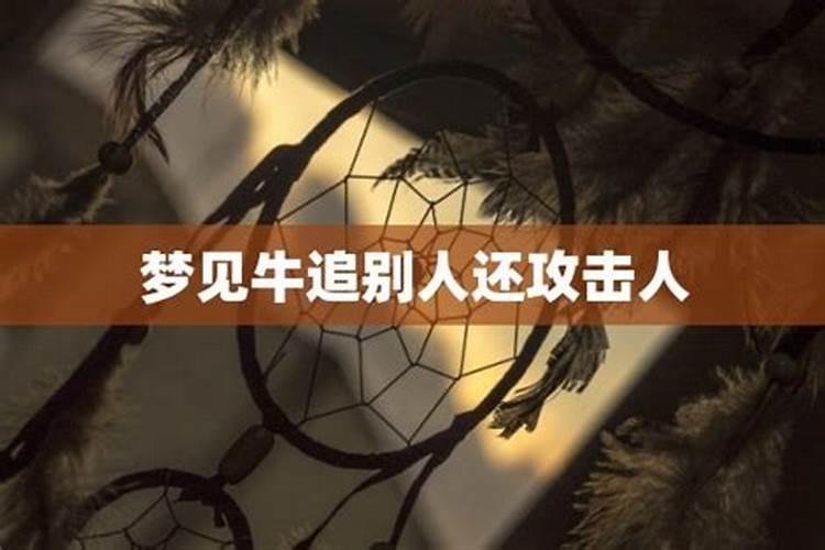 做乱七八糟的梦是什么意思