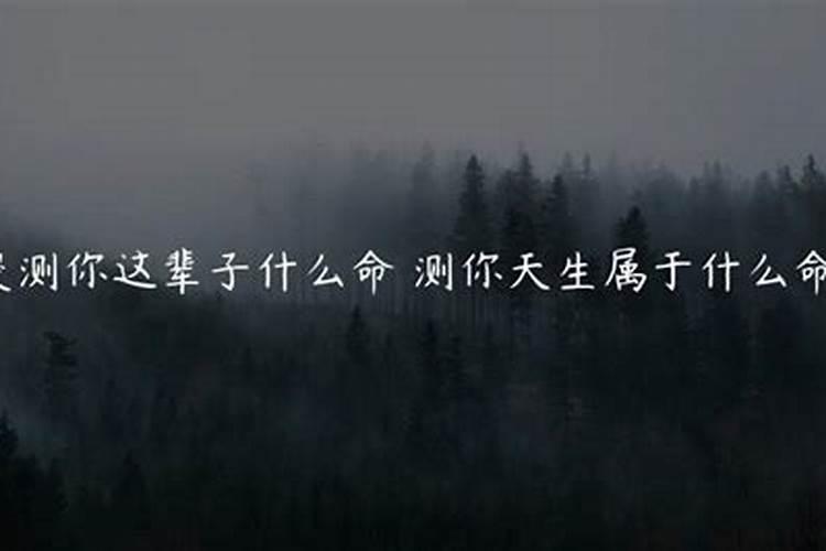 测你这辈子什么命