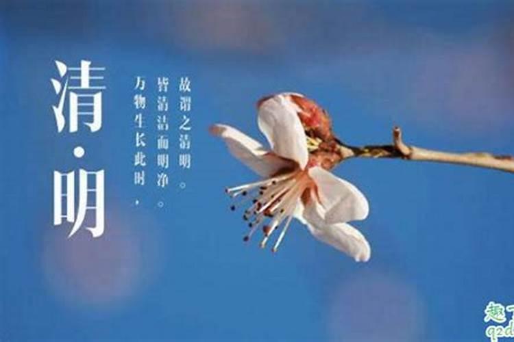 清明节下午扫墓好不好