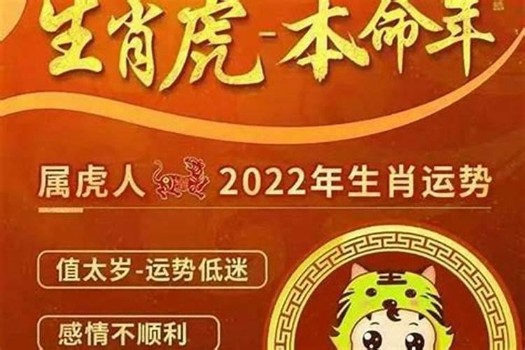 2026年犯太岁五大生肖属相