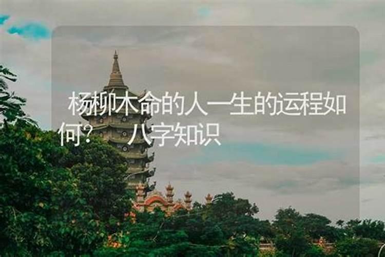 82狗2025年下半年运势