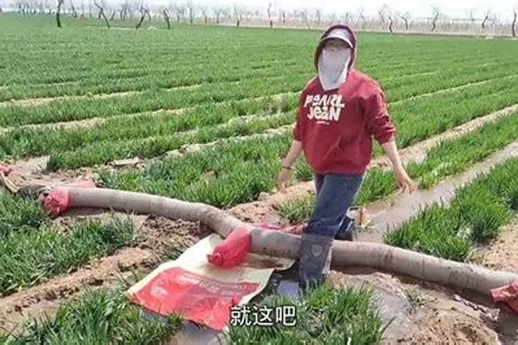 做梦梦到和家人耕田寓意是什么