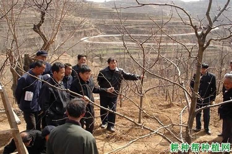生肖鼠1984年2025年运势如何 生肖鼠1984年2025年全年运势