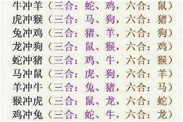 属牛和属鼠的合不合
