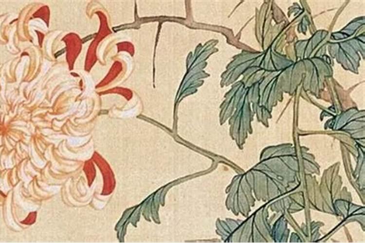杭州人夏至吃什么