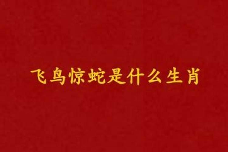 七月十五是什么星座