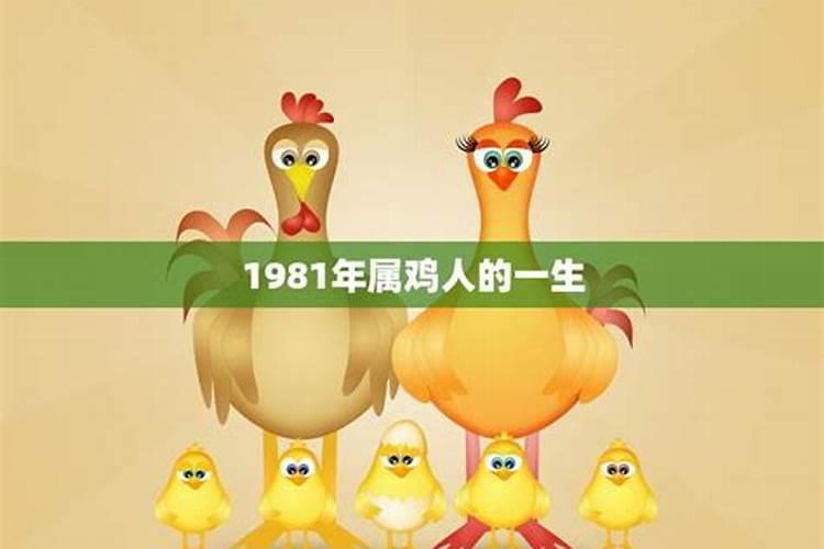 为什么81年的鸡都命苦 此年生属鸡女旺夫旺女？