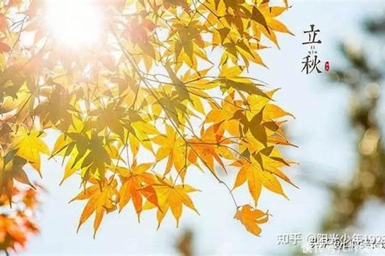 在广州哪个寺庙超度好