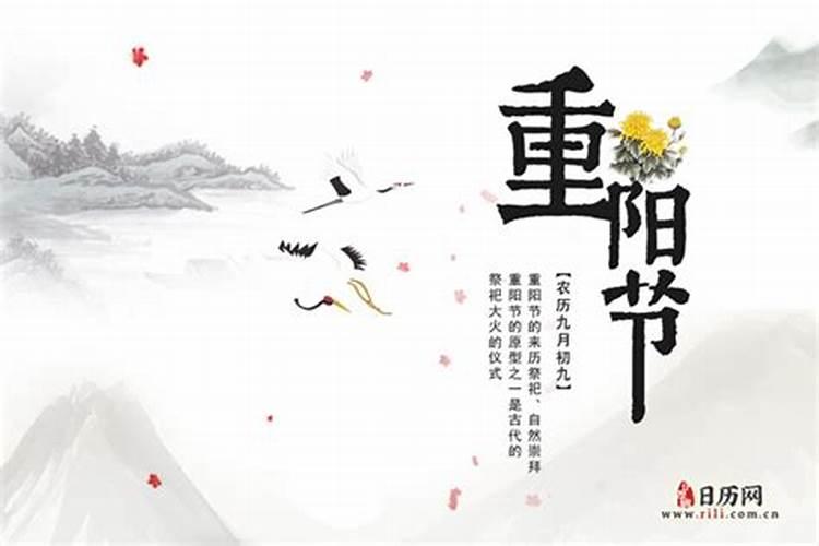 2025年属蛇人的全年运势女性