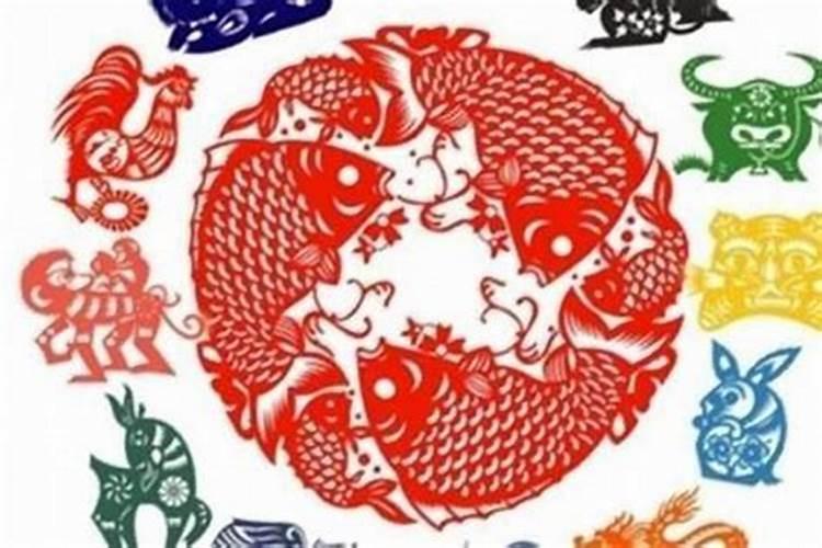 鸡狗八字有合的吗金鸡玉犬破解之法
