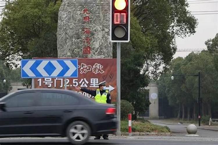 2025属蛇的人一生命运如何2025年属蛇的人事业运势如何