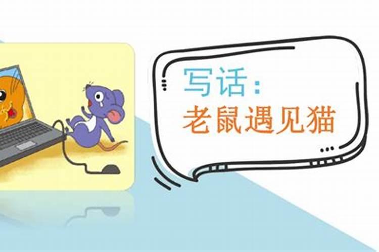 遇见猫的有什么征兆